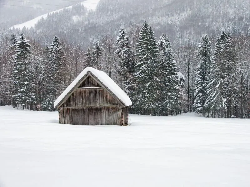 cabin in the snow